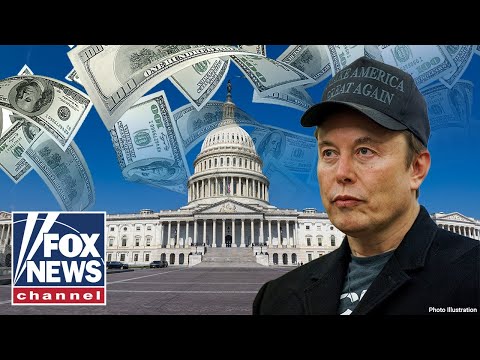 Shocking DOGE Secrets Exposed by Surprising Source - Political Action