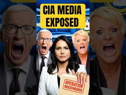 Tulsi Gabbard Unleashes Deep State Bombshell Against Washington Elites