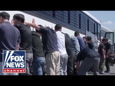 South Korea Outraged Over Georgia ICE Raid Drama - Political Action