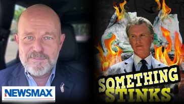 Newsom's free diaper 'scheme' exposed by candidate Steve Hilton