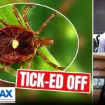 Doctor weighs in on spread of mysterious tick-linked illness