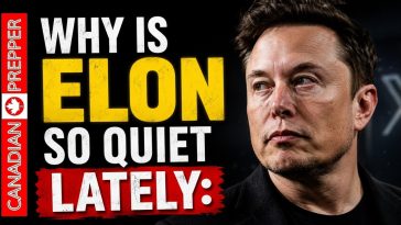 ⚡Elon Musk Knows Something, and it Isn't Good