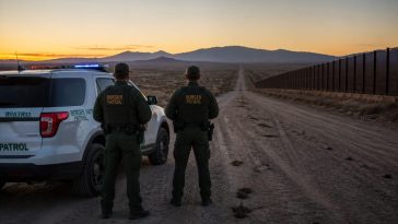 DHS Data: Border Apprehensions Plunge 94% as Releases Hit Zero