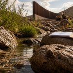 Activists Sue to Force Snail Listing, Could Stall Trump Border Wall