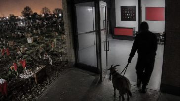 Goat Dragged Into Hackney Office on CCTV, Ritual Remains Found at Heston