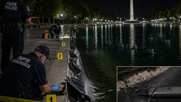 NPS Filing Confirms Trump Right About Reflecting Pool Vandalism