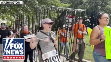 'No Kings' protest returns to White House on Trump's birthday