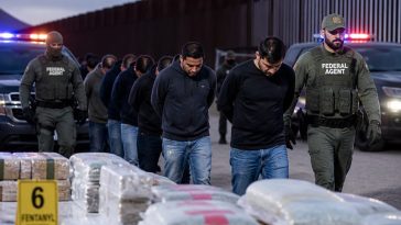 Mullin: DHS Reveals 10,000+ Gang Arrests Since Trump Return