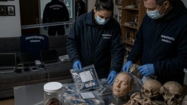 Budapest Orderly Arrested After Human Remains, Reconstructed Face Found