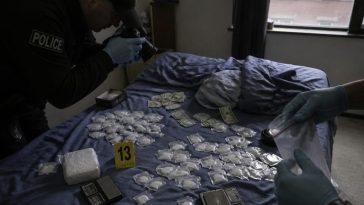 Overstayed Visa, Ran Cocaine Ring, Gets 12 Months Then Deported