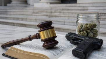 Gorsuch Rules Marijuana Use Alone Can't Strip Gun Rights