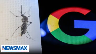 Why does Google want to release millions of mosquitoes across U.S.? Epidemiologist reacts