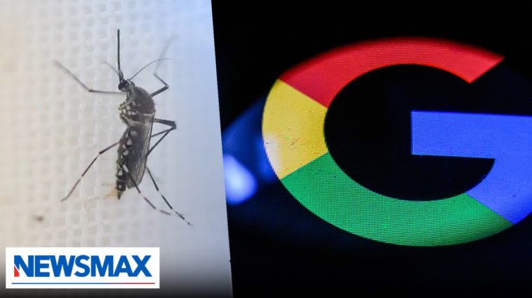 Why does Google want to release millions of mosquitoes across U.S.? Epidemiologist reacts