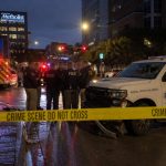 ICE Agent Kills Man After Alleged Vehicle Attack; DHS‑OIG Probes