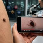 Viral YouTuber's Tick Stunt Fuels Gates Conspiracy, Experts Debunk