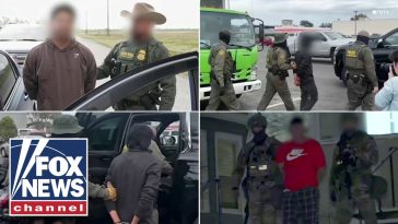 'MATTER OF TIME': Immigrant NABBED as Los Angeles ICE operations RAMP UP