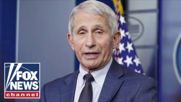 Here's why Fauci should get IMMUNITY: Paul Mauro