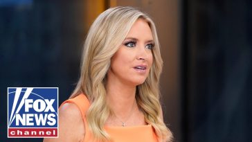 Kayleigh McEnany: This makes my stomach CHURN
