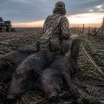 Viral Triple Hog Kill Shows Washington Failing Farmers