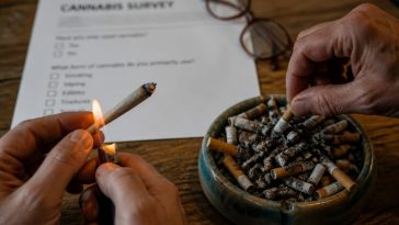Marijuana Overtakes Cigarettes as Use Soars, Conservatives Alarmed