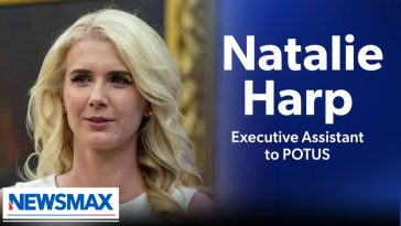 Greg Kelly: Natalie Harp is great - the media hates her