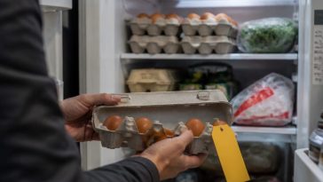 Check Your Fridge Now: Salmonella Recall Hits Kroger, 19M Eggs