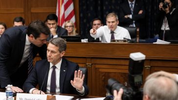 Representative Brandon Gill's Birth‑Tourism Target Pleads Fifth