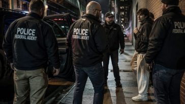 Ex-DHS Advisor Marino: Sanctuary Laws Breed Deadly Street Chaos