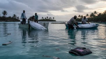 Neighbors Recover Bodies of Florida Family After Bahamas Plane Crash