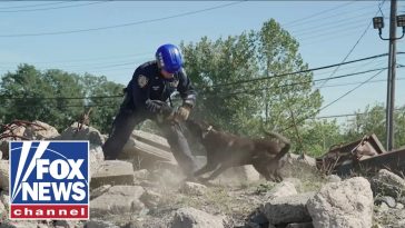 9/11 K9 heroes' legacy HONORED