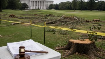 U.S. District Judge Ana C. Reyes Halts Weekend Tree Cutting