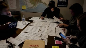 NYT: Mary Peltola Operatives Recruited Fake Dan Sullivan, DOJ Files