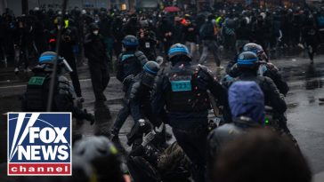 France protests are 'nothing less than an UPRISING,' expert warns