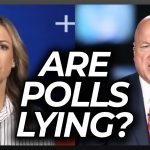 Host Has a Look of Horror as Analyst Says Why Polls May Be Lying About Dems Odds