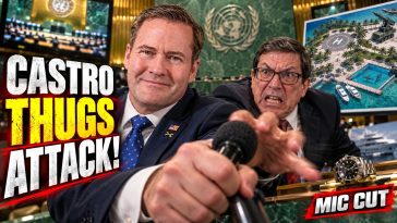 Castro Thugs Attack UN Floor: What The UN Votes On Next